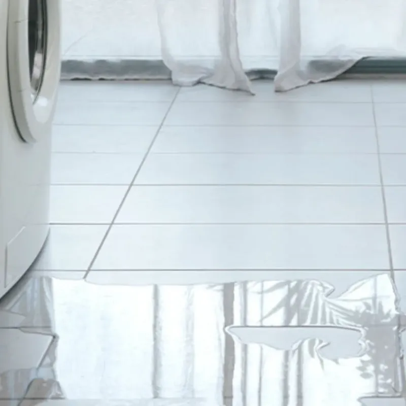 Appliance Leak Cleanup in Hernando Beach, FL