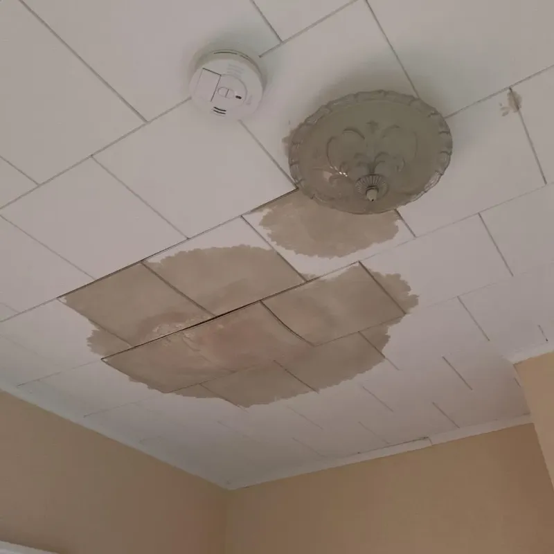Ceiling Water Damage Repair in Hernando Beach, FL
