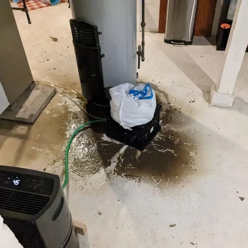 Sewage Backup Cleanup Service in Hernando Beach, FL
